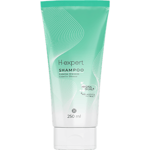 Shampoo Para Cabelos Oleosos H-Expert 250ml